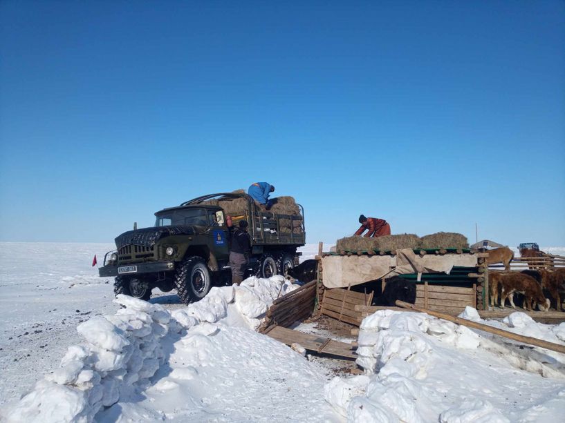 Зэвсэгт хүчнийхэн малчдад тусламж, дэмжлэг үзүүлж байна