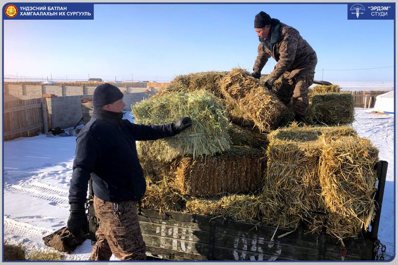 Малчдадаа туслах аян өрнүүллээ