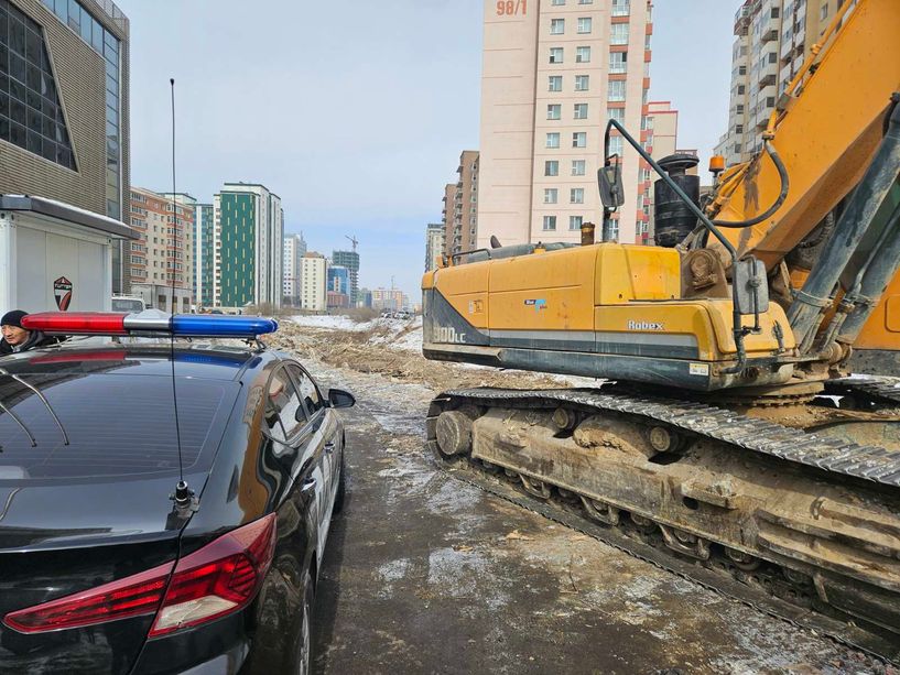 Сэлбийн бургасыг тайрч байгааг цагдаагаас шалгаж эхлэв