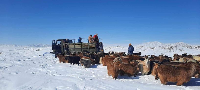 ФОТО: Зэвсэгт хүчнийхэн 17 аймгийн 62 суманд үүрэг гүйцэтгэж байна