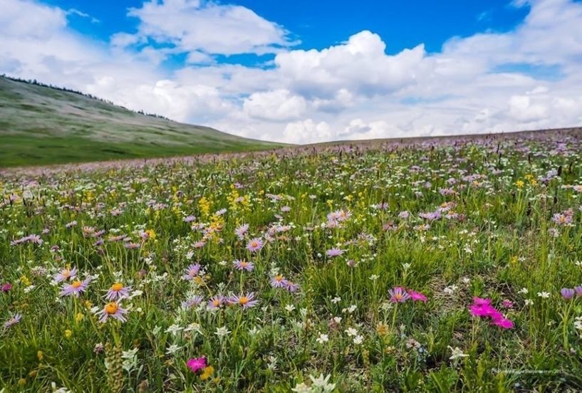 Улаанбаатарт өдөртөө 25 хэм дулаан байна