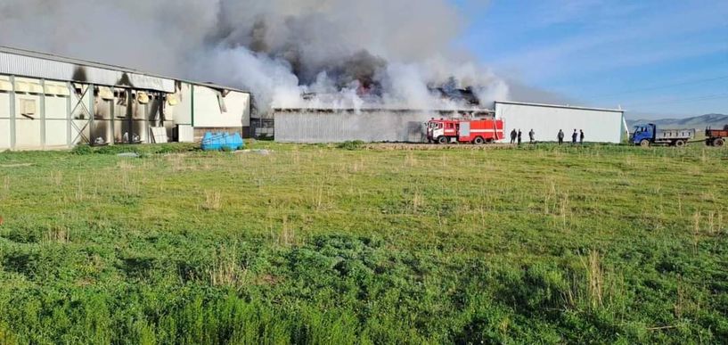 “Баян” өндөгний үйлдвэрт гарсан галын тархалтыг зогсоож, шалтгаан нөхцлийг тогтоохоор ажиллаж  байна