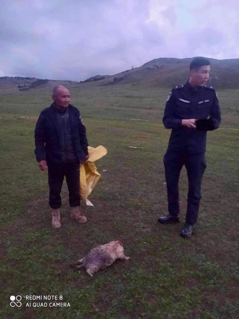 Агнасан тарвагаа нуугаад, зугтжээ