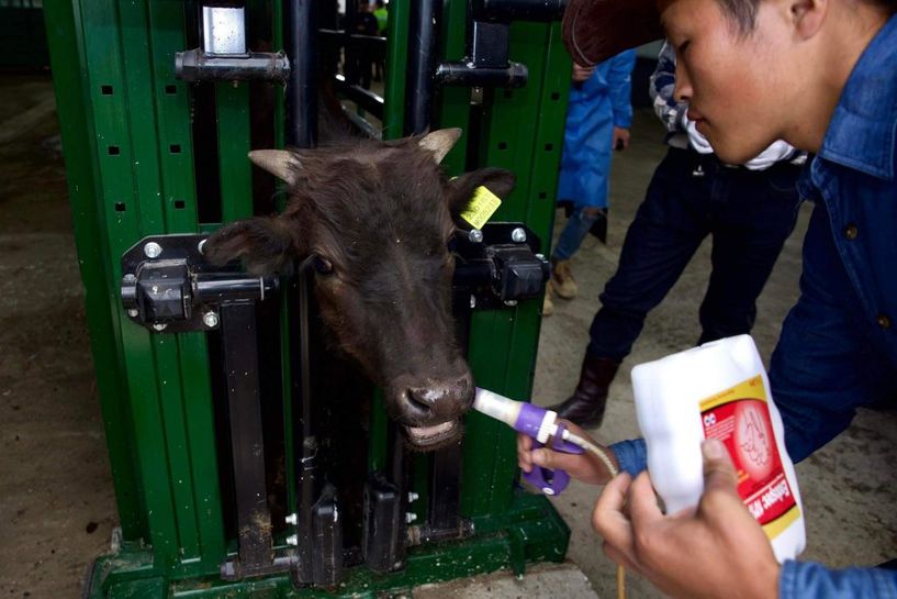Ерөнхийлөгч У.Хүрэлсүх “Мэтагро” ХХК-ийн хөдөө аж ахуйн иж бүрэн цогцолборт ажиллалаа