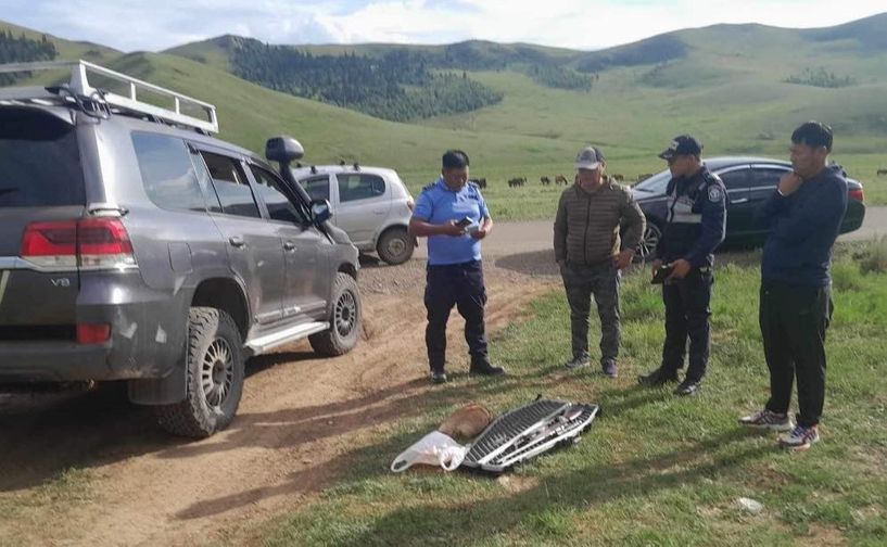 Богдхан ууланд тарвага агнаад баригджээ