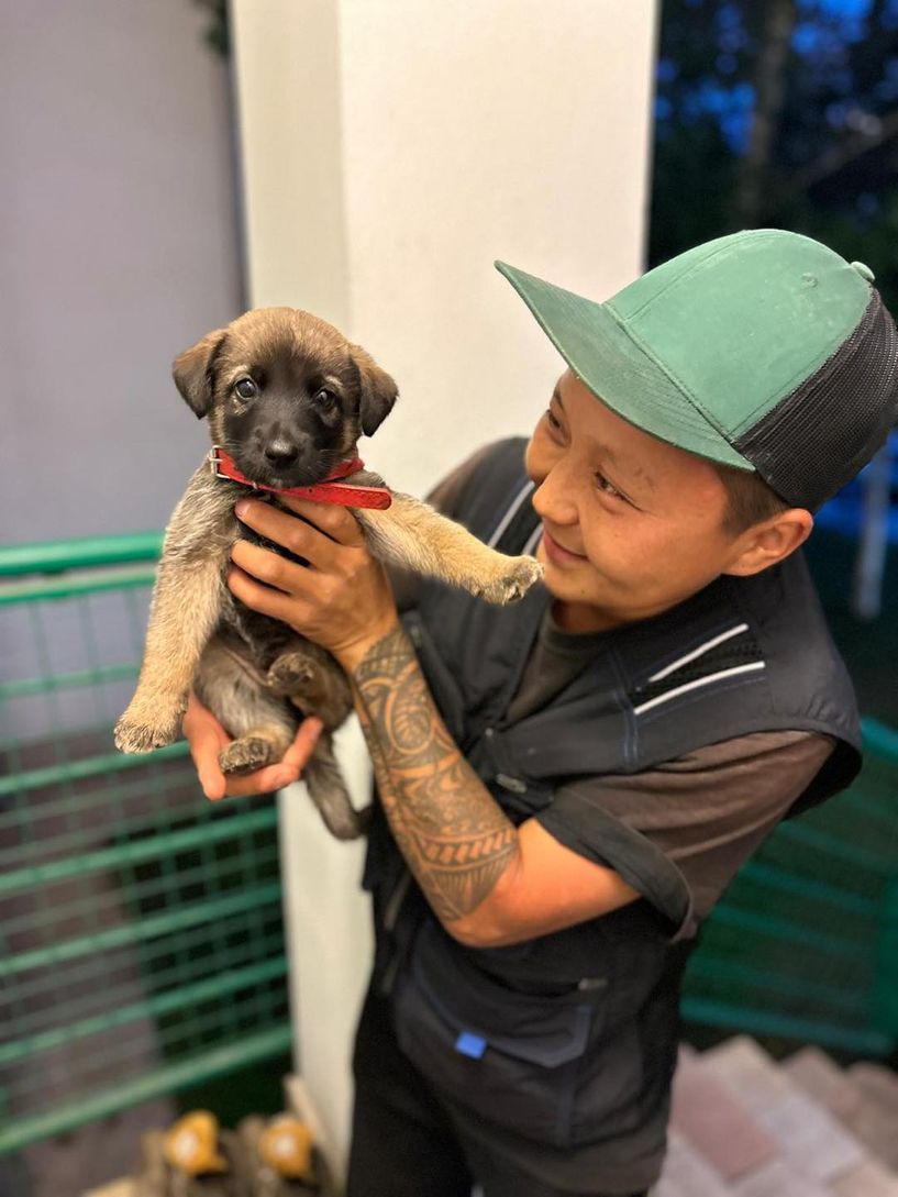 М.Ариунсанаа: Амьтад амар тайван амьдрах, олон улсын асрамжийн газартай болохыг мөрөөддөг