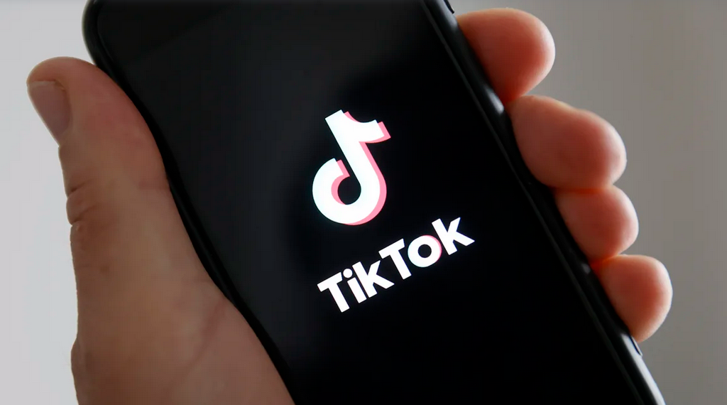 Францын долоон гэр бүл TikTok-ийг шүүхэд өгчээ