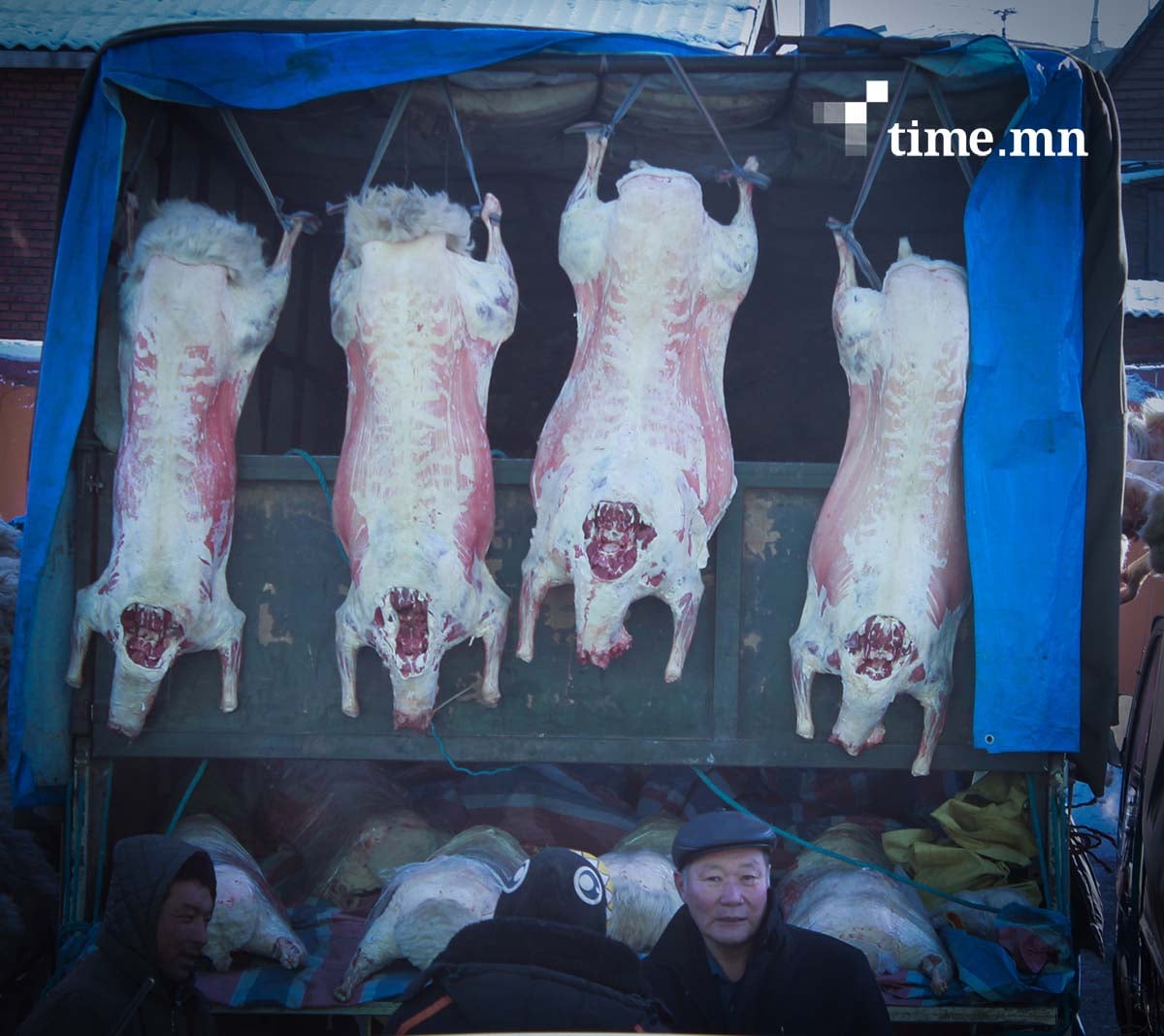 Хонины ууц, үхрийн өвчүү, бууз хулгайлжээ