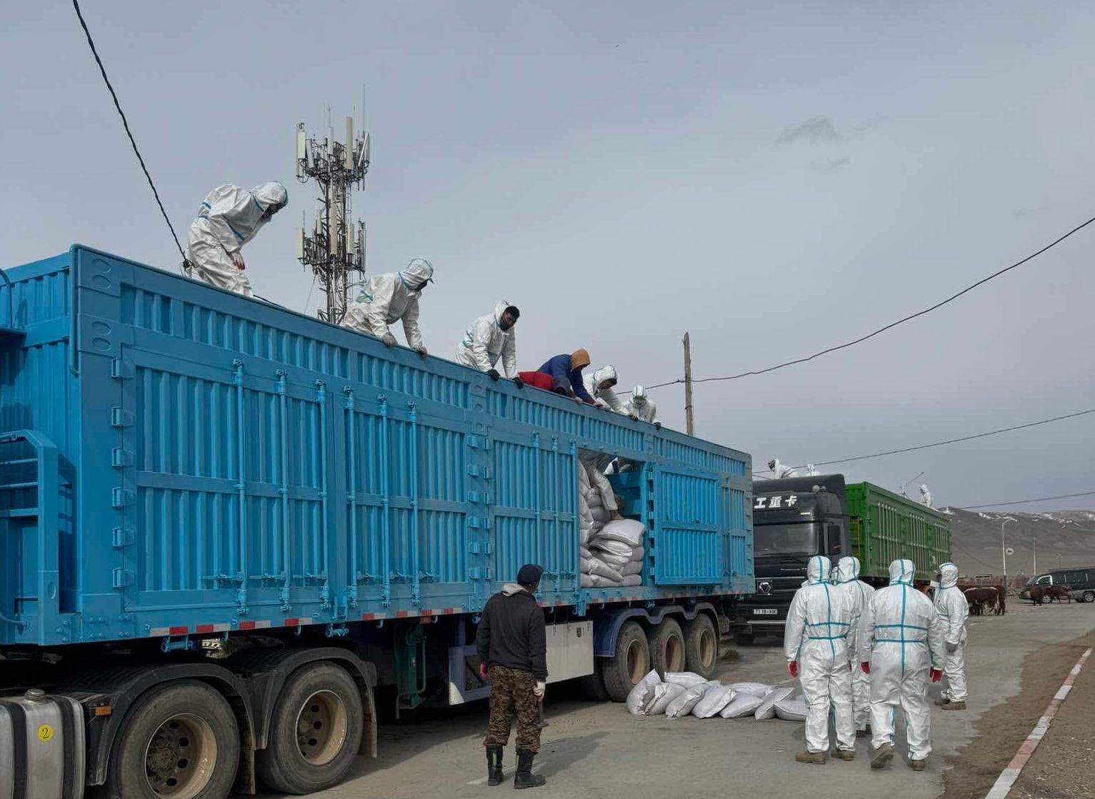 Улсын нөөцөөс олгосон 50 тн тэжээлийн дэмжлэгийг хүлээлгэн өглөө
