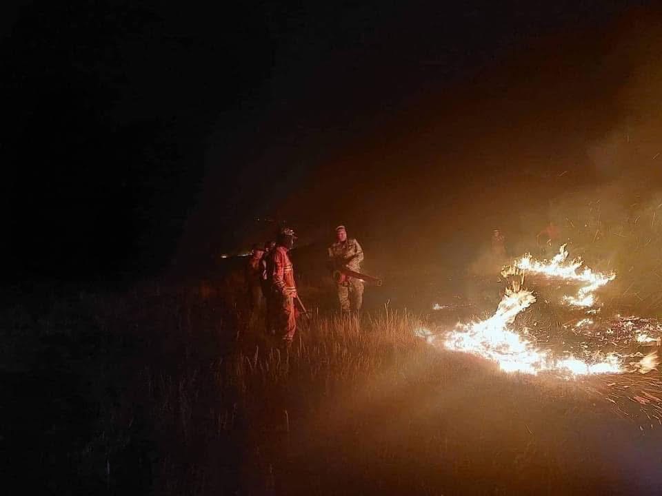 Ойн түймэрт 17 га талбай шатжээ