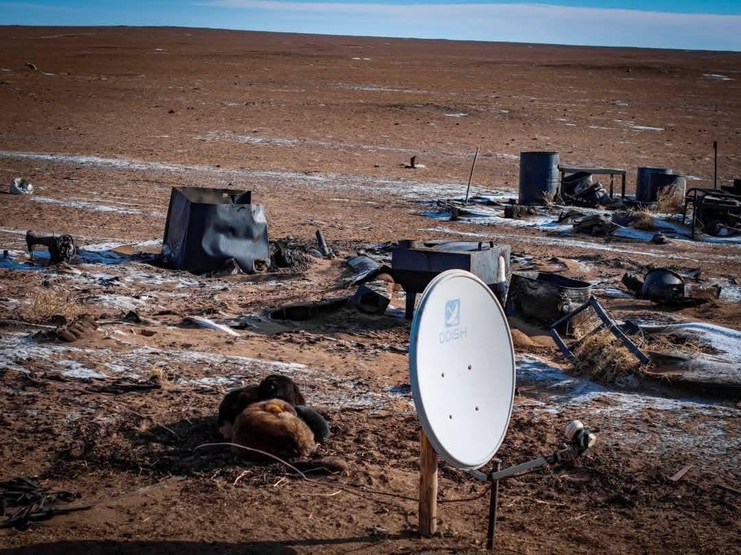 Ой, хээрийн түймэр тавих гэмт хэргийн шинжтэй 9 хэрэг бүртгэгдсэн байна