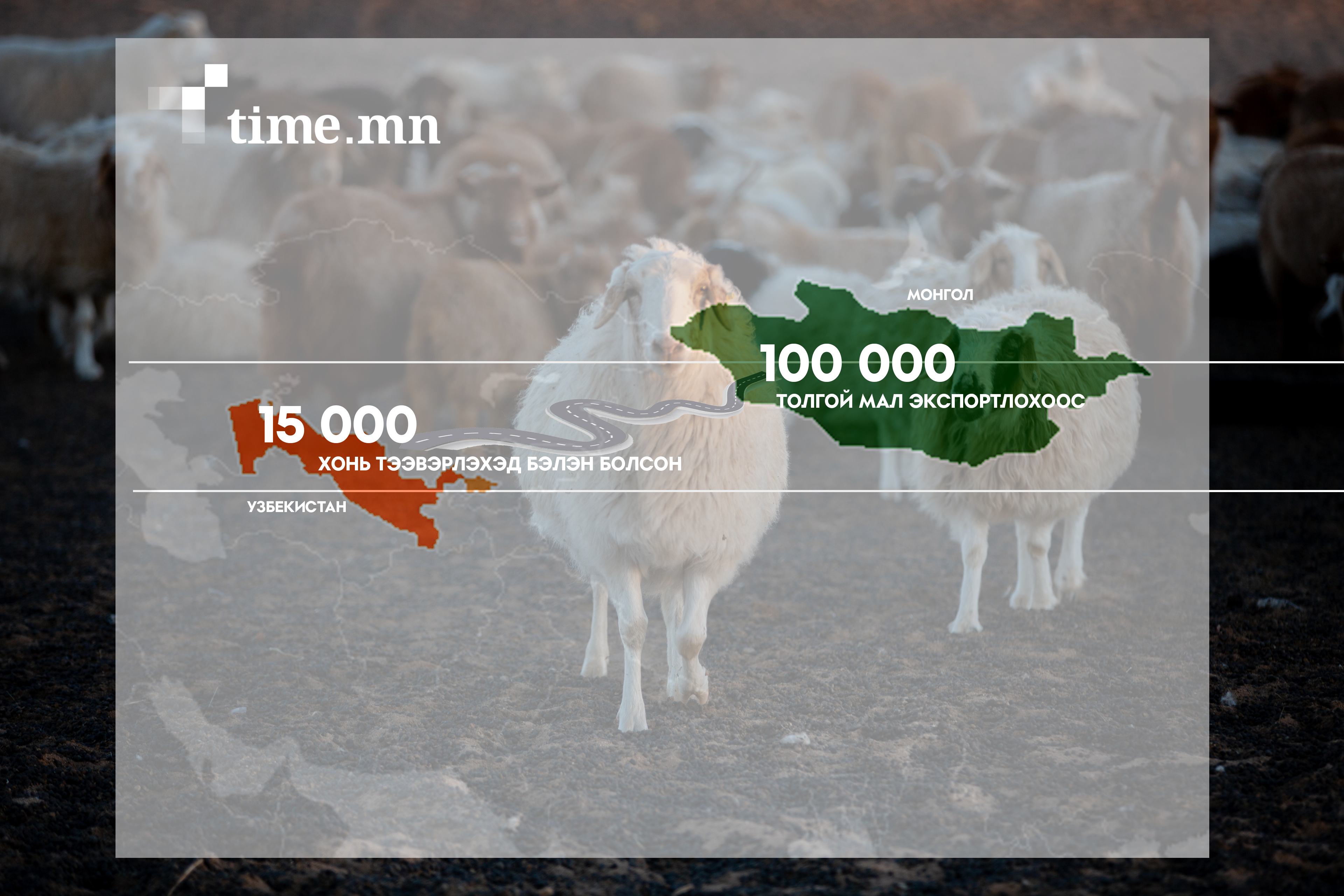 Узбекистан руу 15 мянган хонь амьдаар нь гаргах гэж байна