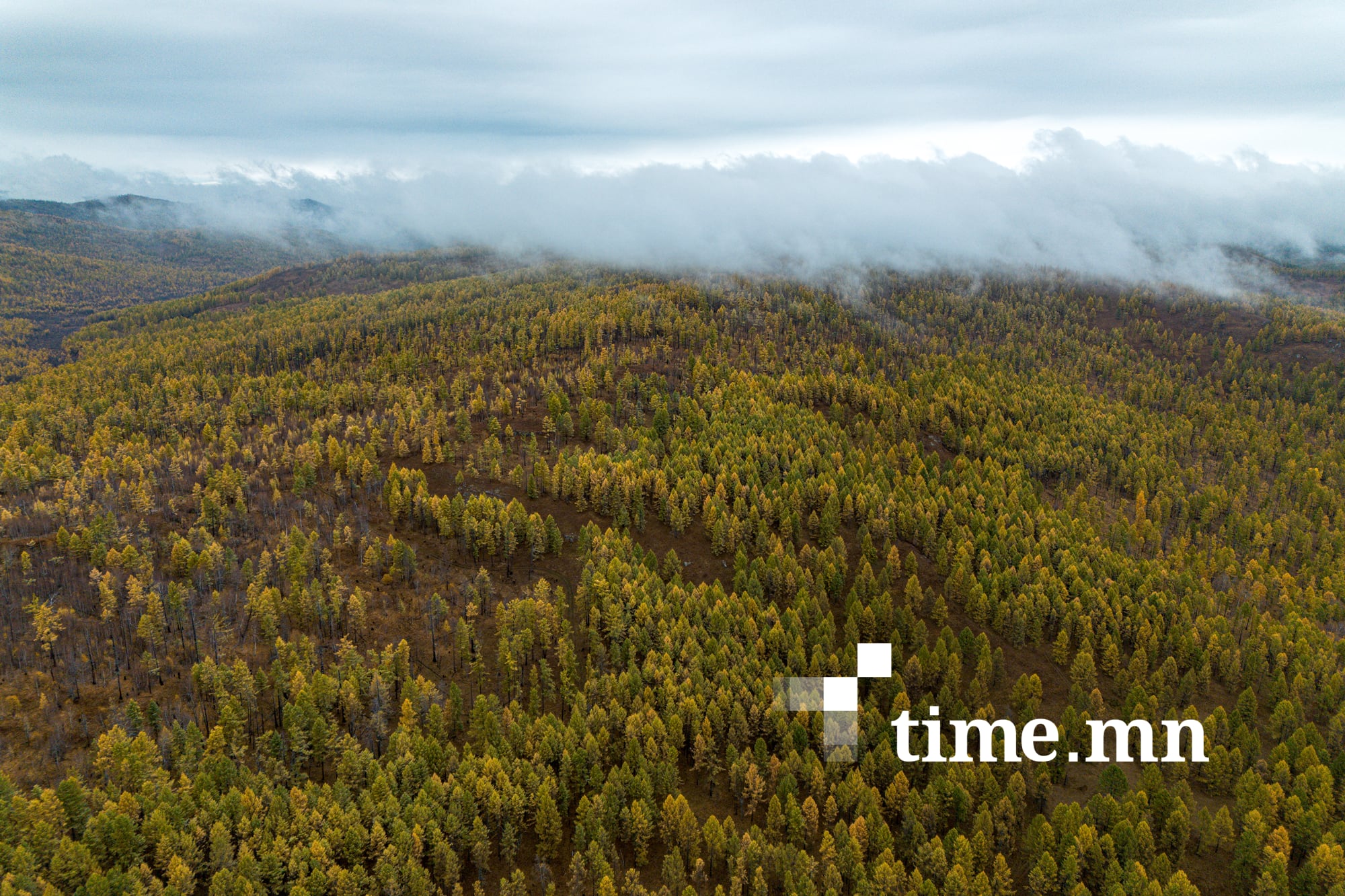 Хуш модны самар бэлтгэх хэмжээг тогтоожээ