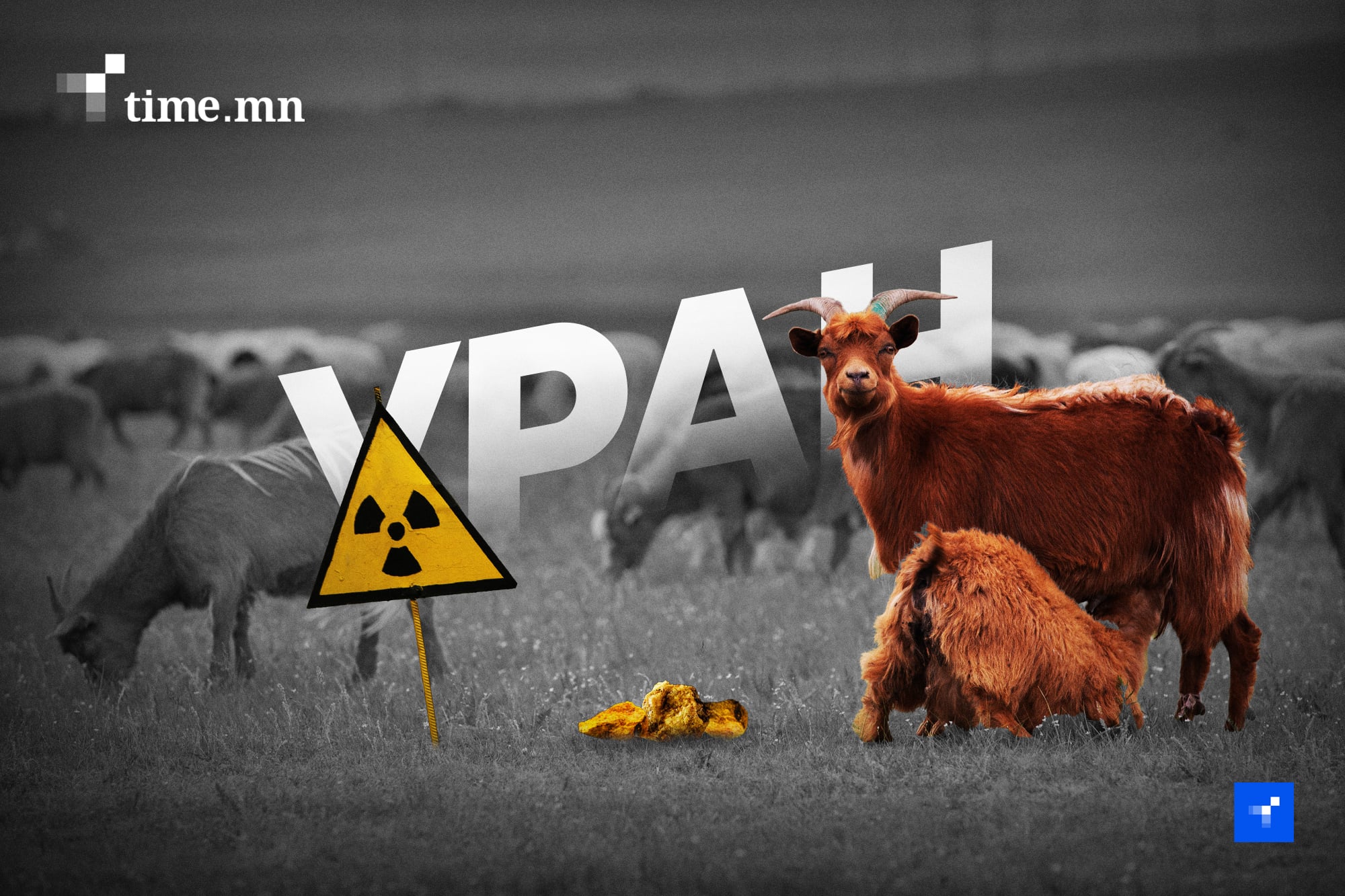 Мал чинь тэжээлийн дутагдалд орсныг малчин Та мэдэх хэрэгтэй