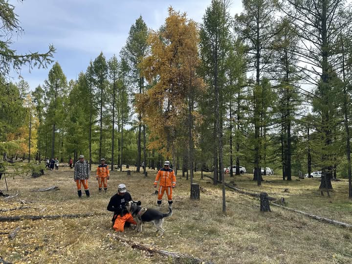 Самраа сахиж үлдээд алга болсон эмэгтэйг нохдоор хайлгахаар боллоо