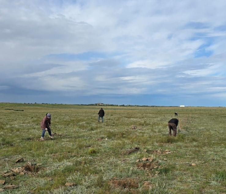 Ганга нуурыг сэргээж байна