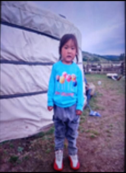 Алга болсон хүүгийн талаарх мэдээллийг төлбөртэй авна