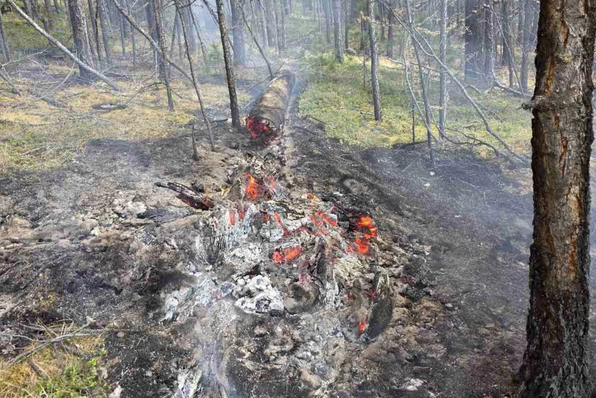 Хөвсгөл аймгийн Цагааннуур суманд түймэр гарчээ