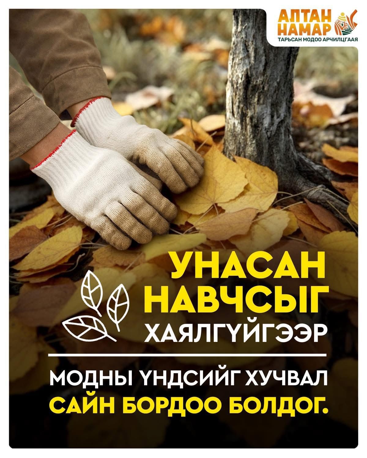 “Алтан намар-Тарьсан модоо арчилцгаая” нөлөөллийн аян эхэллээ