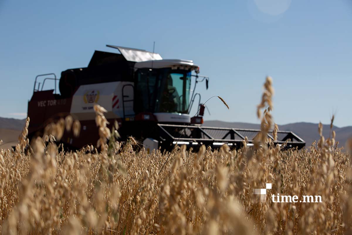 Гурил идэх үү, улстөрийг идэх үү!