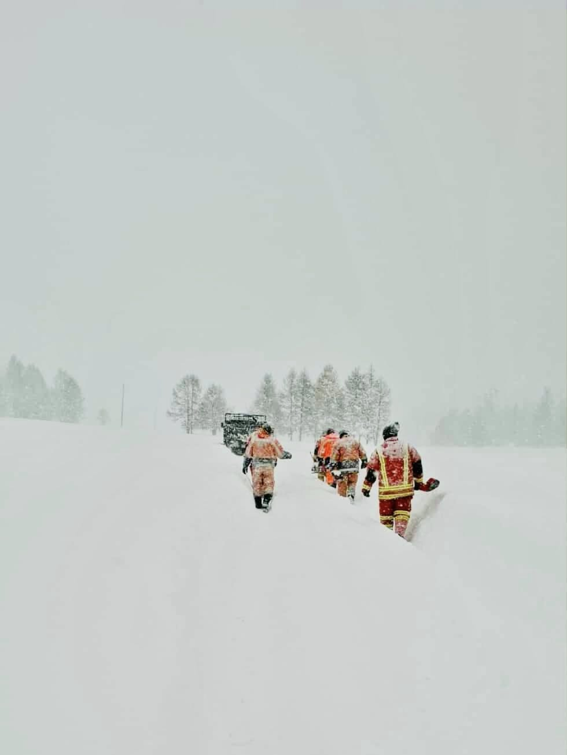 Төөрч, машин нь цасанд сууж, дугуй нь хагарчээ