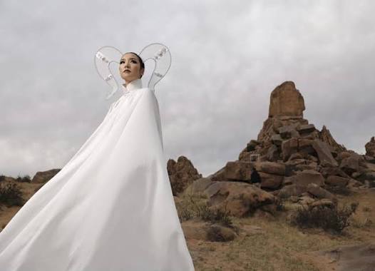 DJ Layla дуучин болжээ