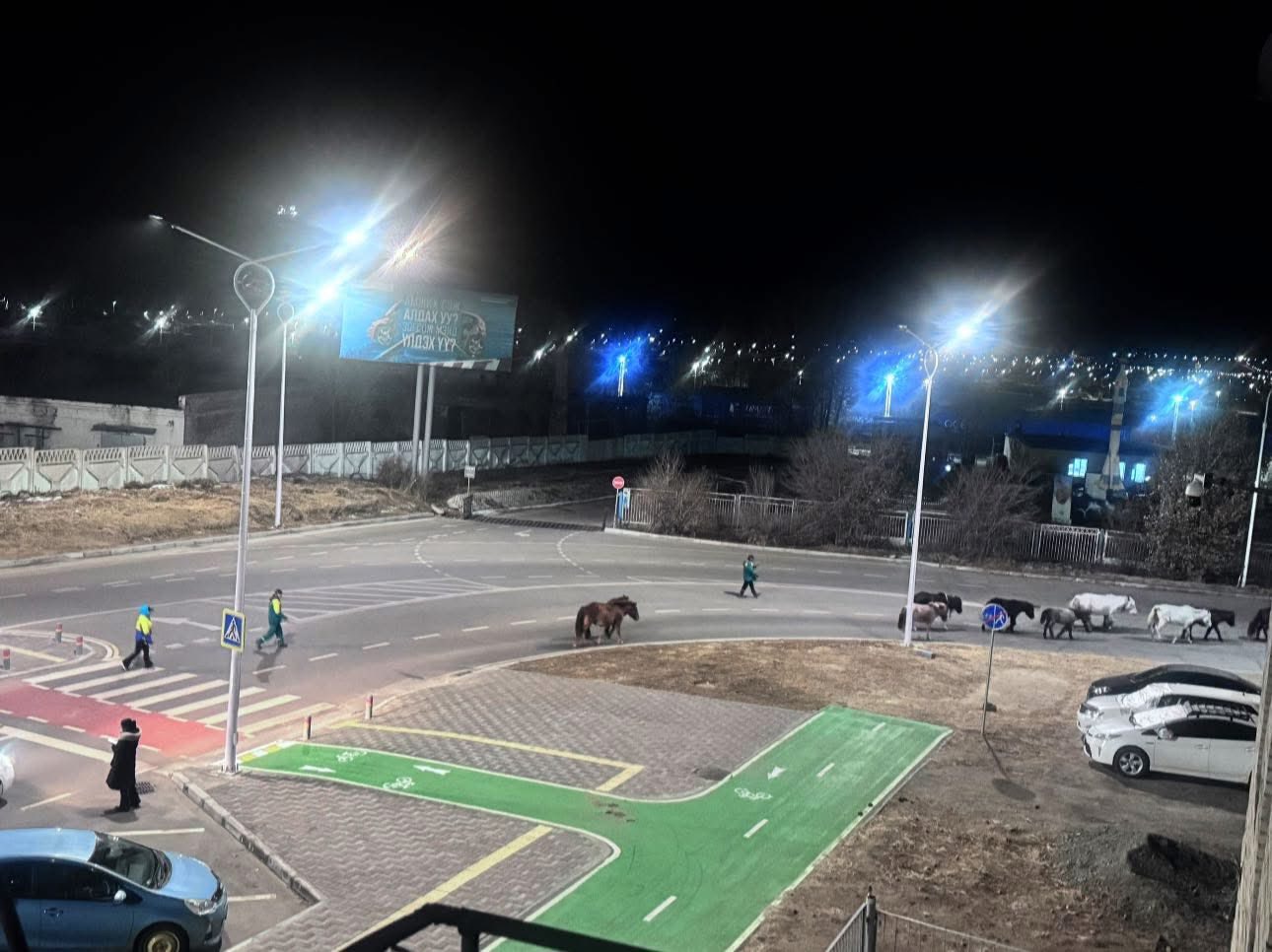 Хотын төвд орж ирсэн малыг хашиж байна