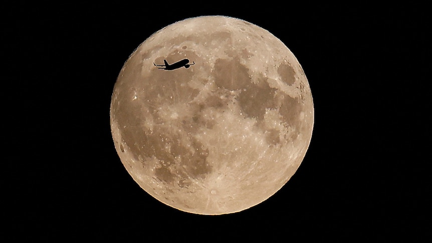 Дэлхийд хамгийн ойртож ирсэн “Beaver” супер сар тэнгэрт мандлаа