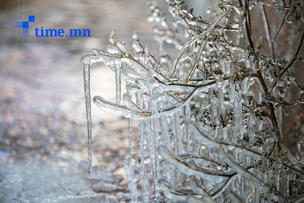 Өнөөдрөөс хүйтний эрч чангарна