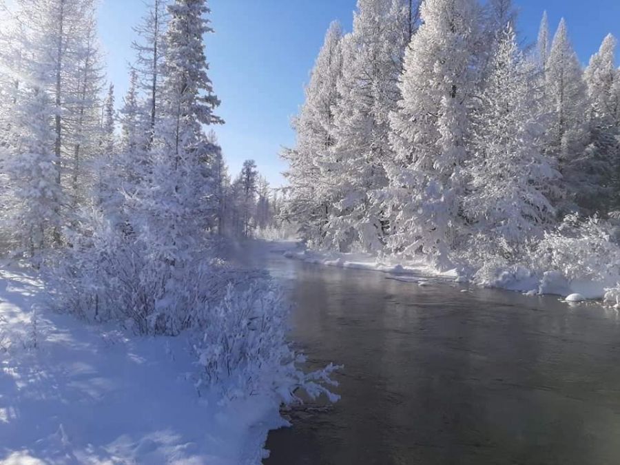 Жарганатын голд өвлийн наадамтай