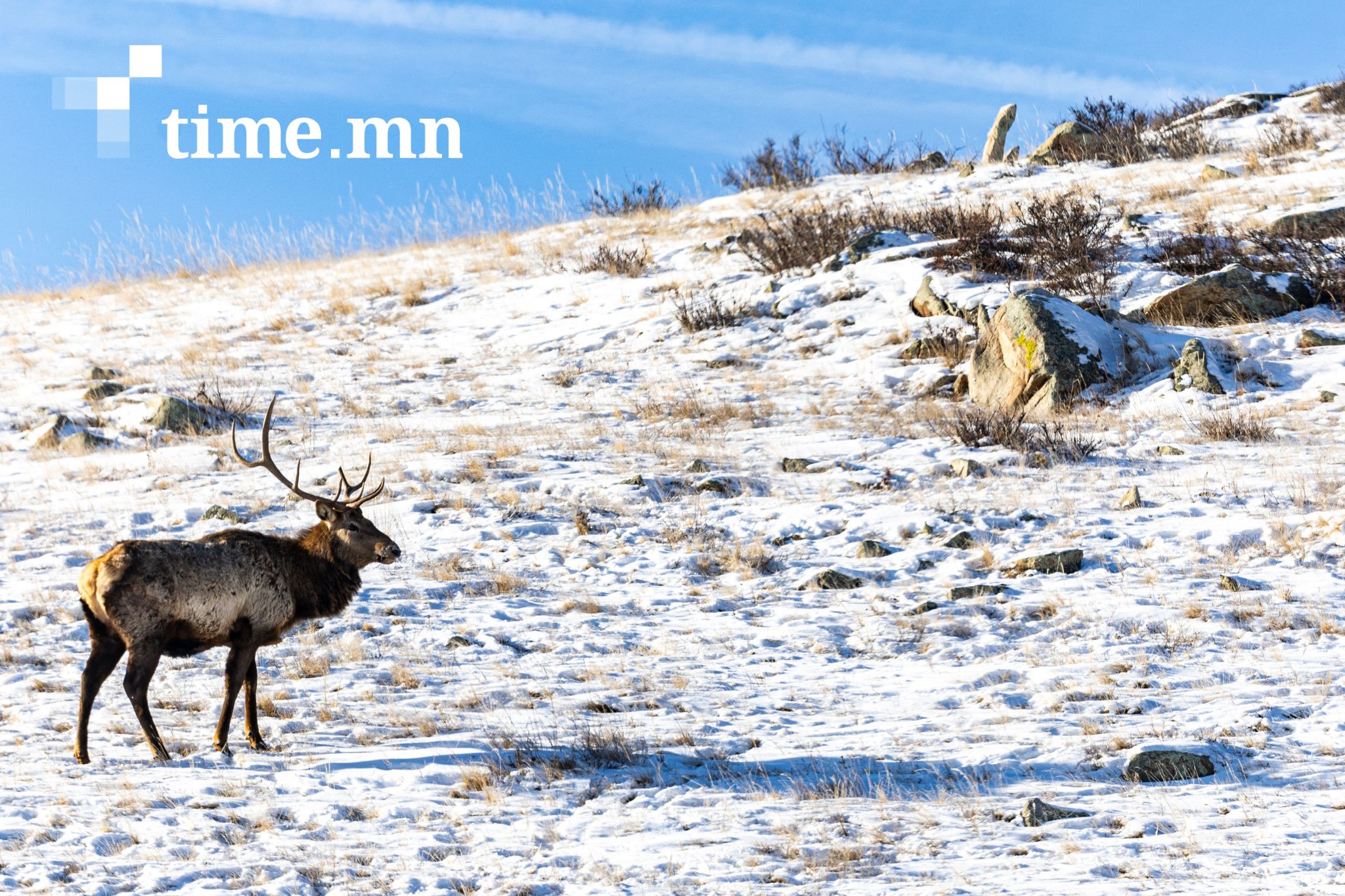 Энэ онд хүрээлэн буй орчны эсрэг 1857 гэмт хэрэг үйлджээ