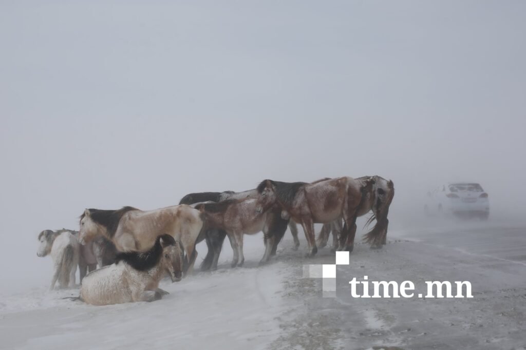 Төвийн болон зүүн аймгуудын нутгаар цас орж, цасан шуурга шуурна