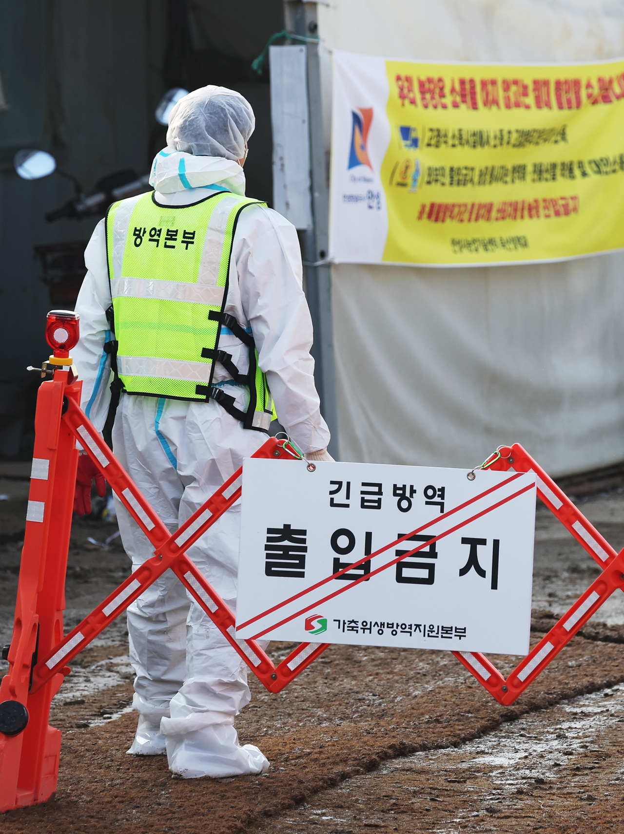 Өмнөд Солонгосын 2 фермээс шувууны ханиад илэрчээ