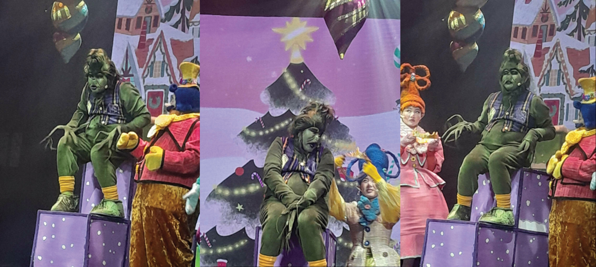 Ц.Энх-Орчлон: Гринчийн ертөнцөөр аялаарай