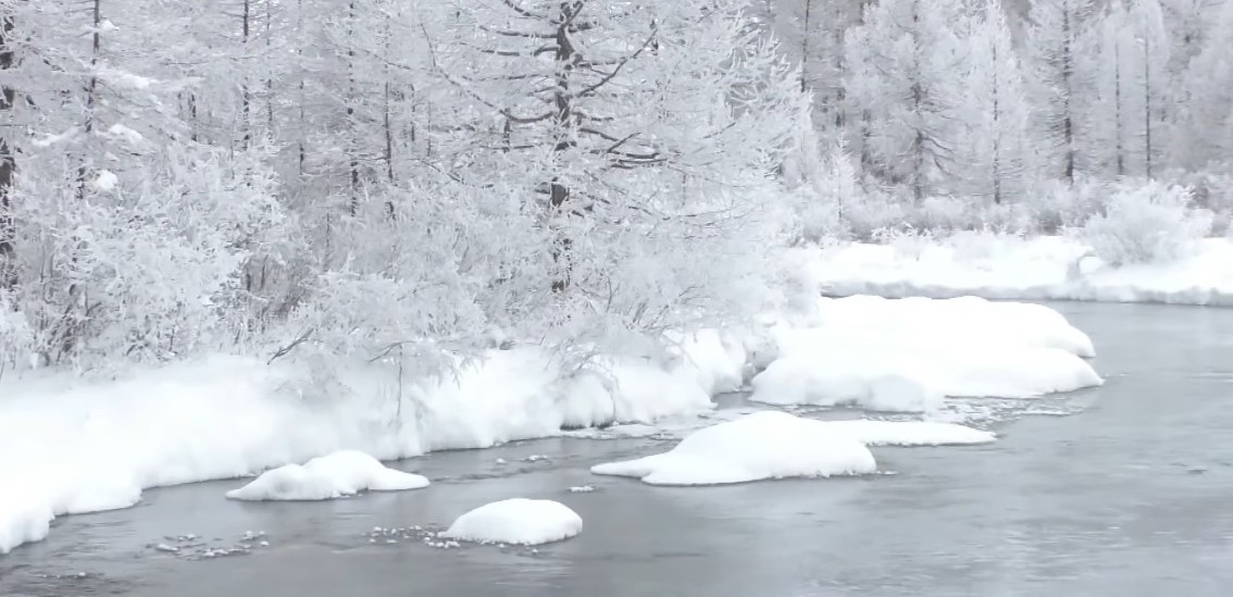 Жарганатын голд болох байсан эвентийг цуцаллаа