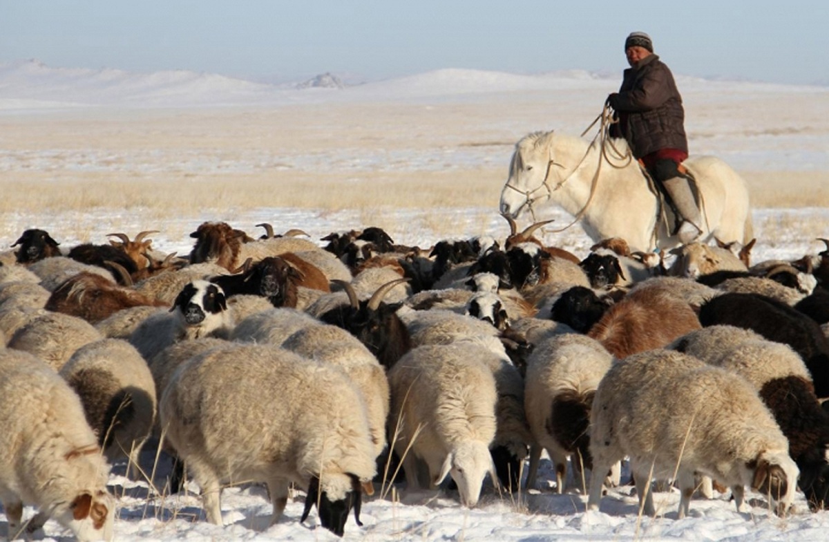 Малчны тухай хууль хэрэгжиж эхэллээ
