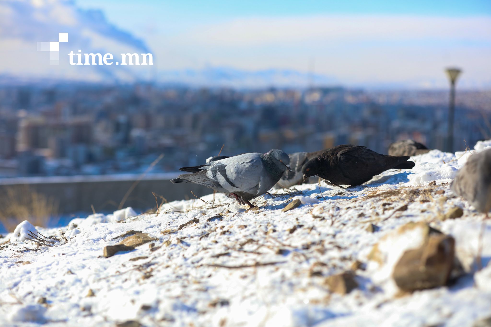 Нийслэлийн хэмжээнд агаарын бохирдол бага байна