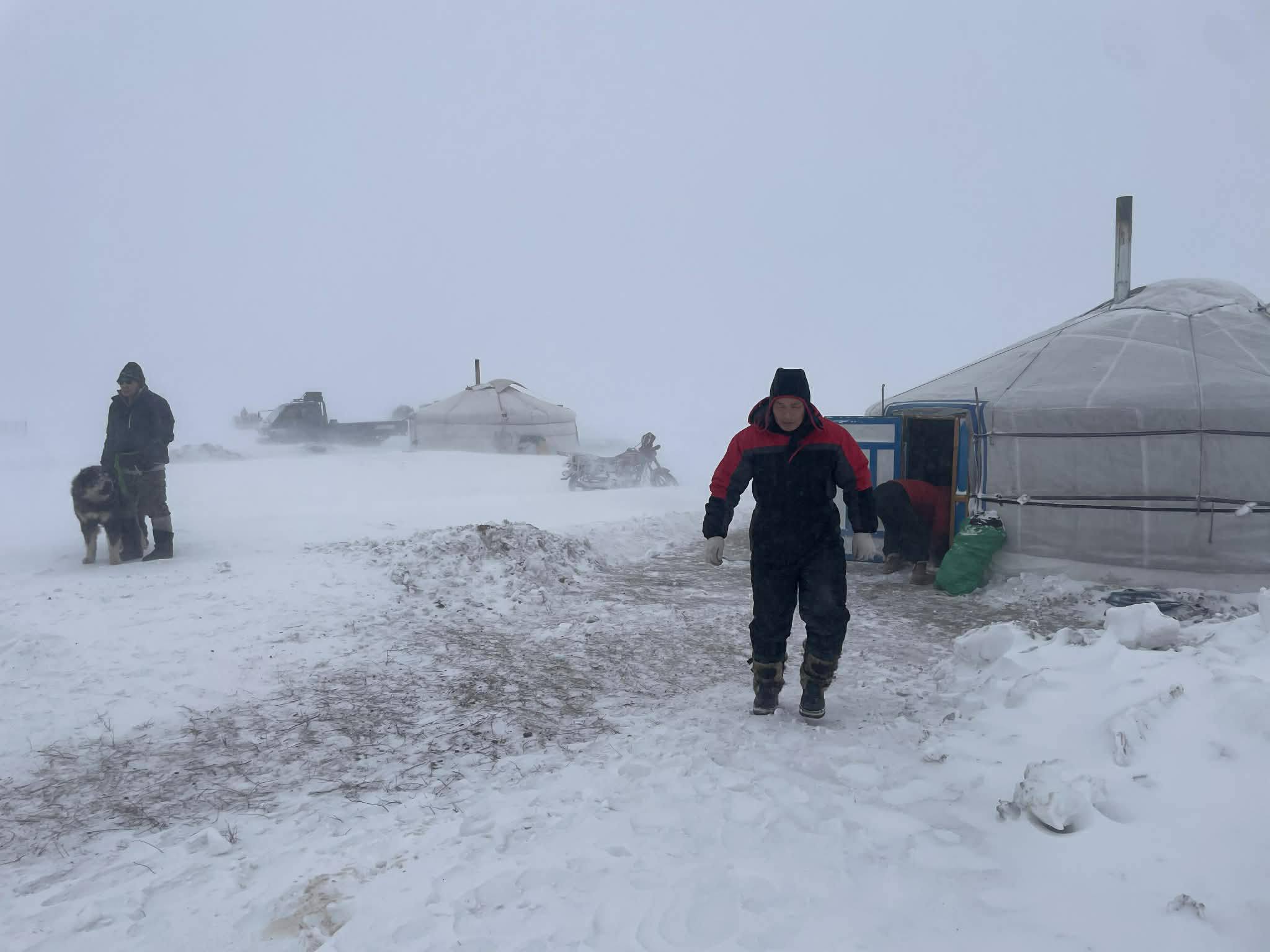 Дорнод аймгийн Халхгол суманд нүүрлэсэн зудыг даван туулахаар ажиллаж байна