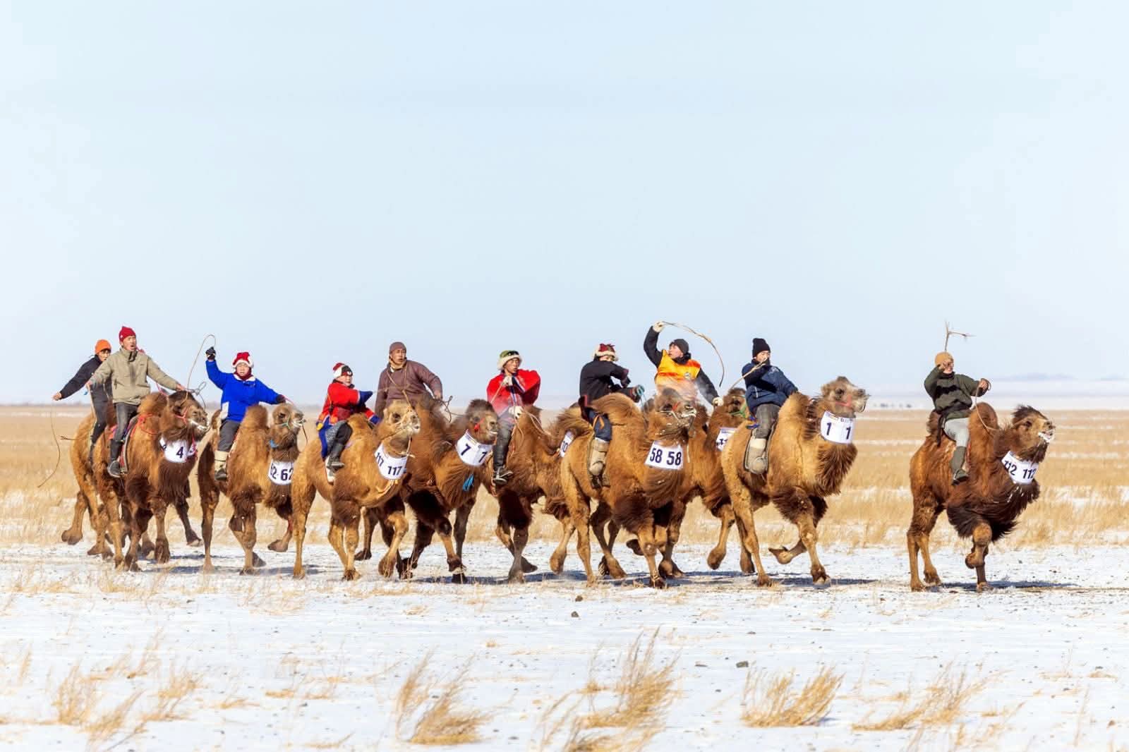 Түмэн тэмээний баяр боллоо
