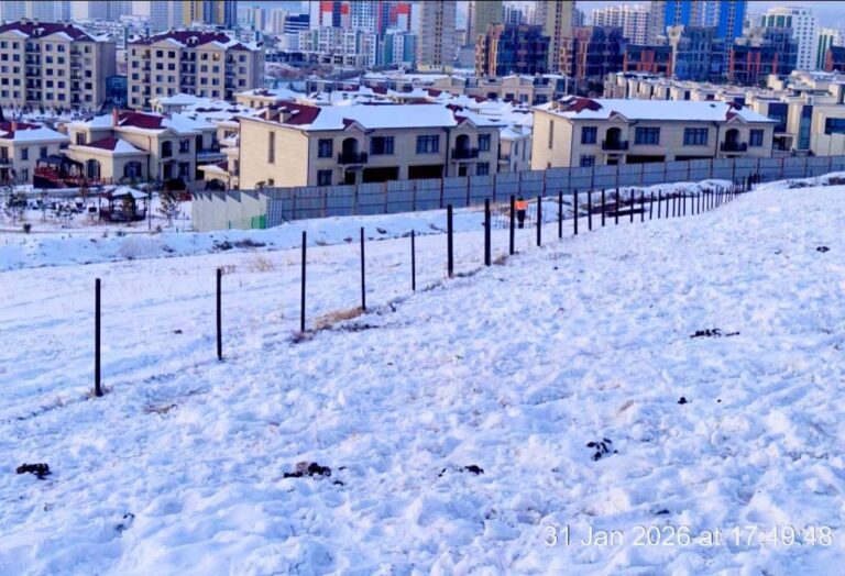 Б.Мөнхтамир: Буганд хөнөөл учруулсан компанийг 30 саяар торгож, газар эзэмших эрхийг нь цуцаллаа