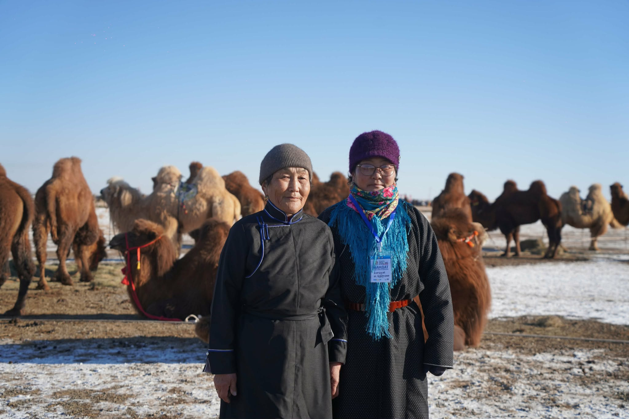 Дөрвөн үеийн удам дамжсан тэмээн сүргийн эзэд