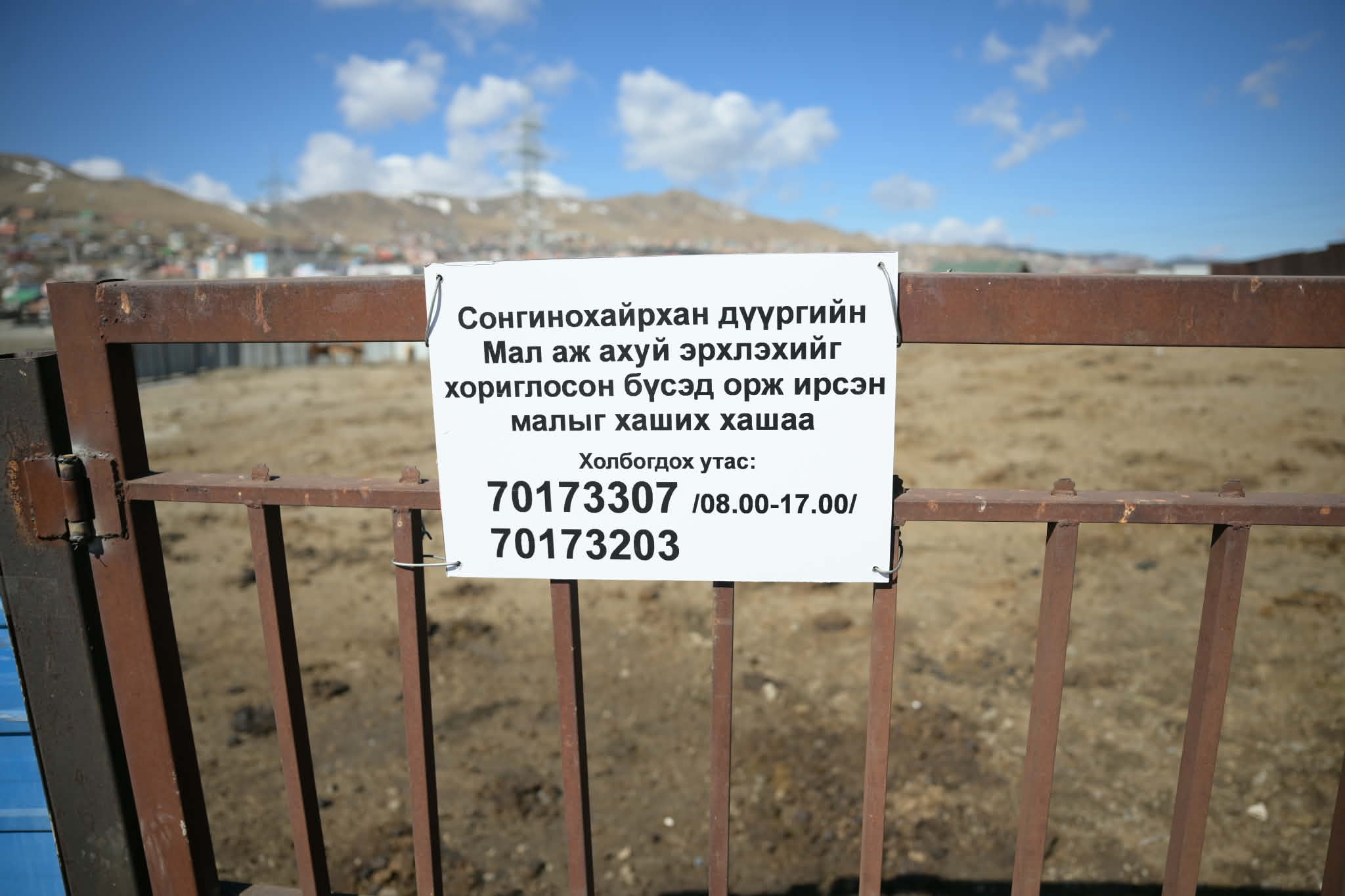 Нийслэлд орж ирсэн малыг гаргасаар байна