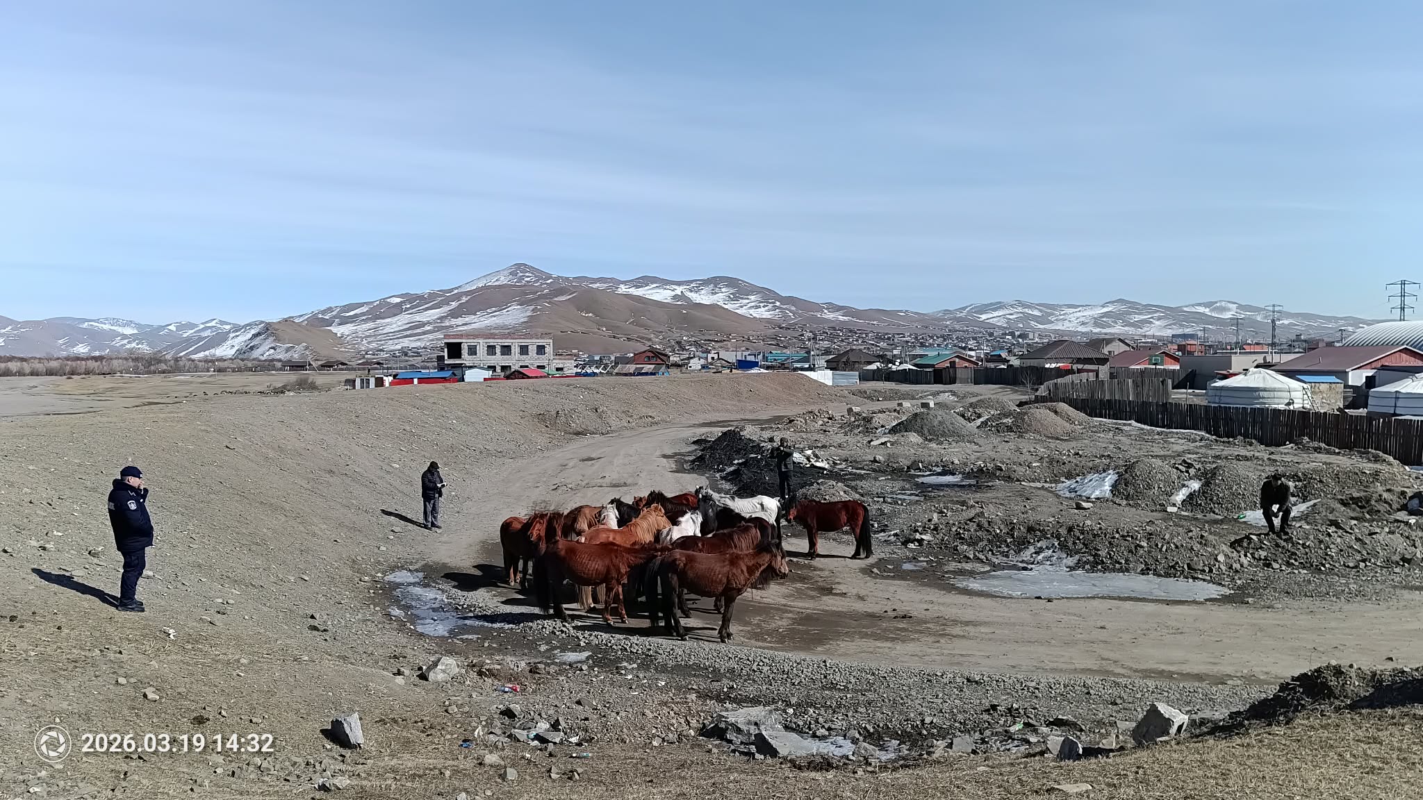 Тусгай хамгаалттай газар,  суурьшлын бүсээс мал гаргаж байна