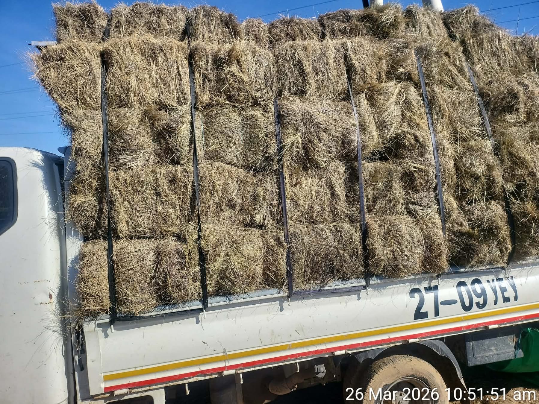 Бугын сүрэгт зориулан, 50 боодол өвс хандивлав