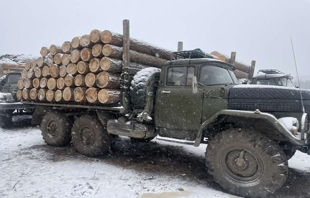 Хууль бусаар мод бэлтгэсэн хүмүүст ял оноов