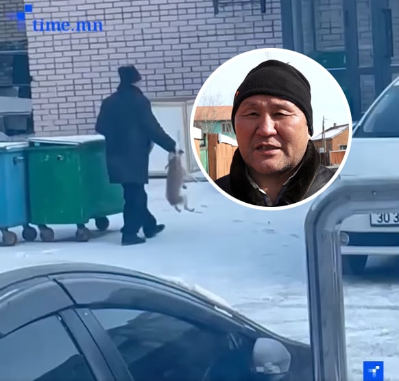 Нохойг дааруулахгүйн тулд хогийн саванд хийжээ