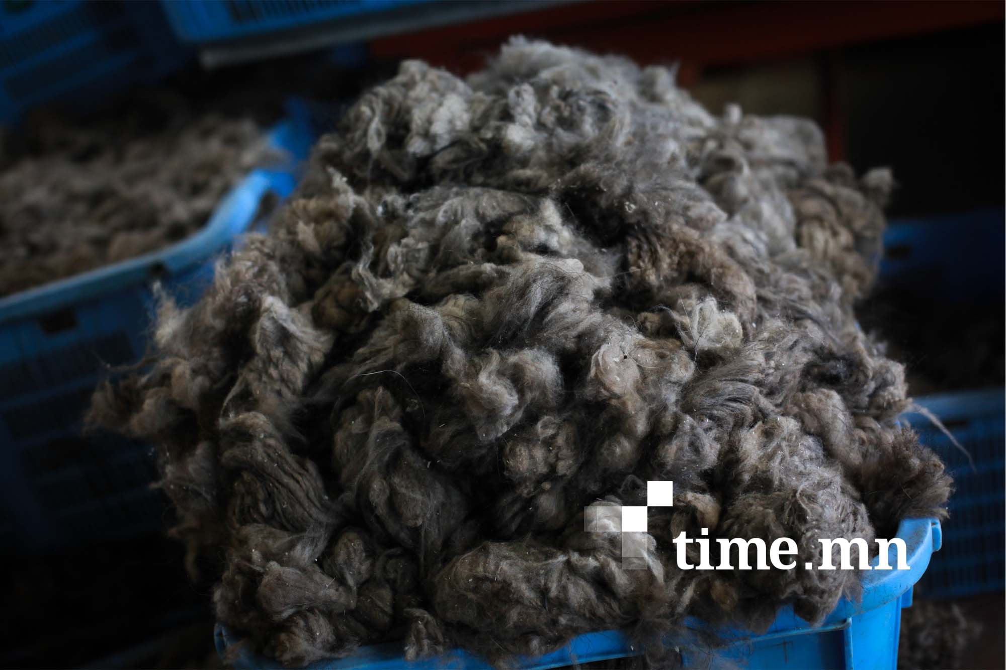 Ноолуурын үйлдвэрлэлийг дэмжих тухай Засгийн газрын тогтоол батлагдлаа