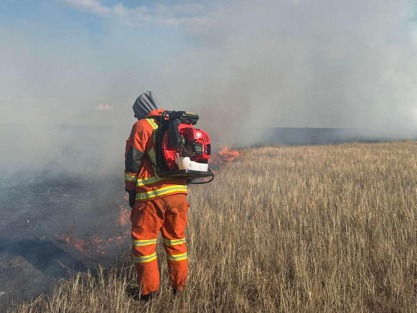 Түймэр тавьсан жолоочийг илрүүлжээ