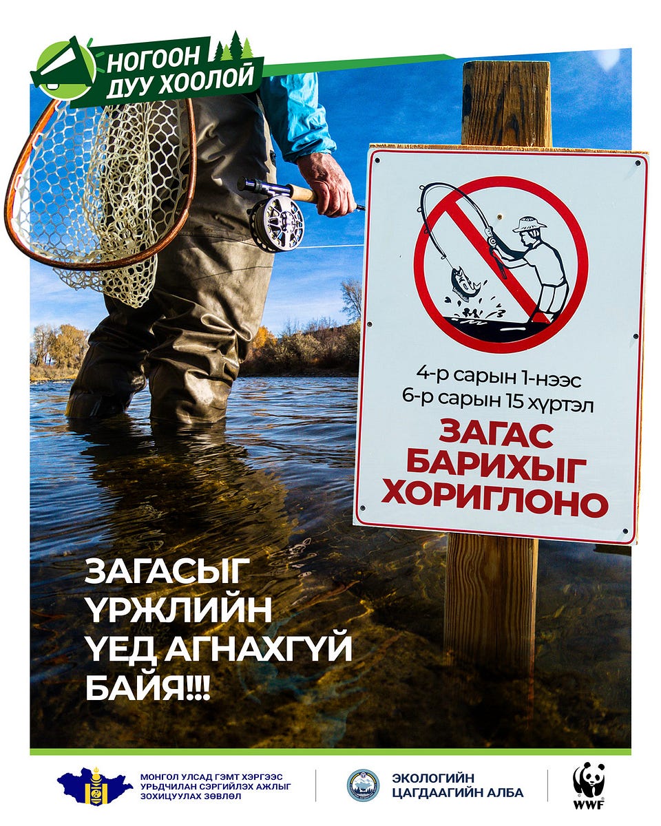 6-р сарын 15-ны өдрийг хүртэл загас агнахыг хориглоно