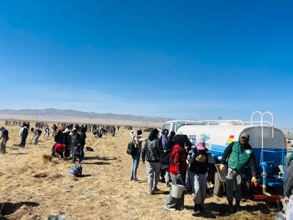 Экологийн клүбүүд 1000 мод тарилаа